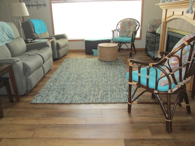 1902 Tiffany Cove Ln SW, Rochester, MN 55902 - living room with wood finished floors, a tile fireplace, and baseboards