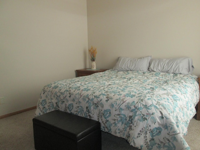1902 Tiffany Cove Ln SW, Rochester, MN 55902 - bedroom featuring carpet flooring and baseboards