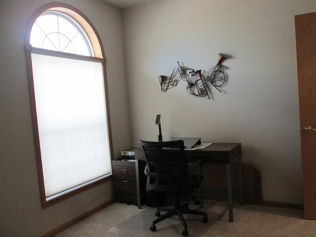 1902 Tiffany Cove Ln SW, Rochester, MN 55902 - carpeted home office featuring baseboards