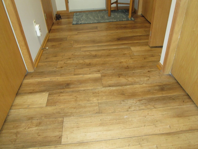 1902 Tiffany Cove Ln SW, Rochester, MN 55902 - hall with wood-type flooring