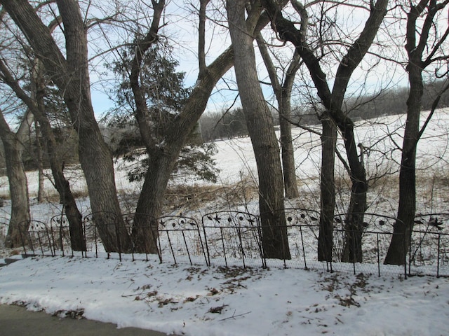 1902 Tiffany Cove Ln SW, Rochester, MN 55902 - view of snowy yard