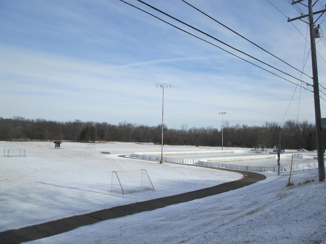 1902 Tiffany Cove Ln SW, Rochester, MN 55902 - yard covered in snow with view of wooded area
