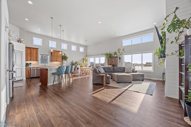 living room featuring dark hardwood / wood-style flooring, sink, and a high ceiling