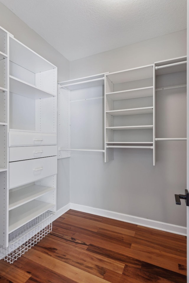 spacious closet featuring wood finished floors