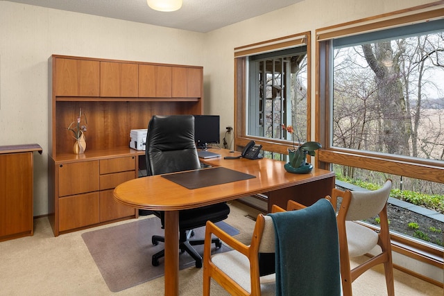 office space with light colored carpet and plenty of natural light