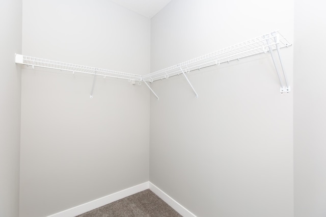 spacious closet with carpet flooring