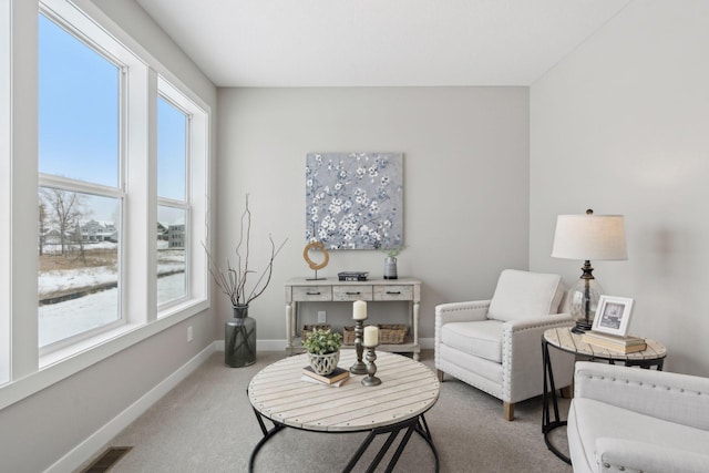 living area featuring a healthy amount of sunlight and carpet