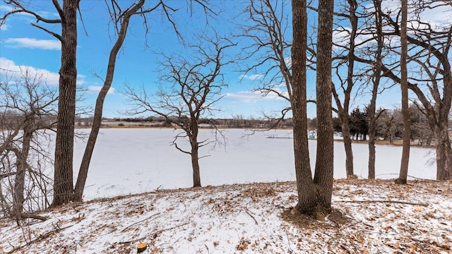 view of yard covered in snow