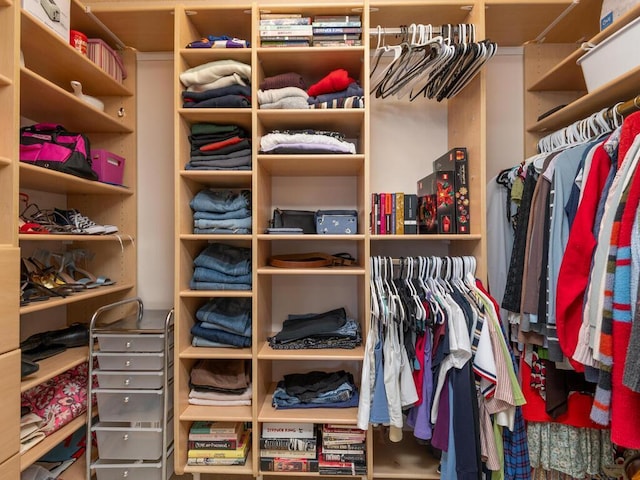 view of spacious closet