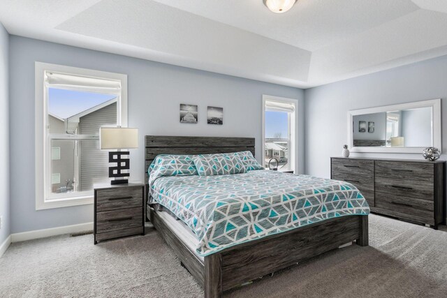 bedroom with a tray ceiling and carpet floors