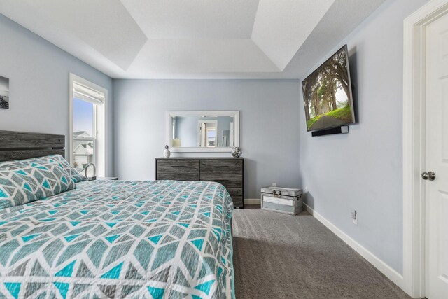 bedroom with a raised ceiling and carpet flooring