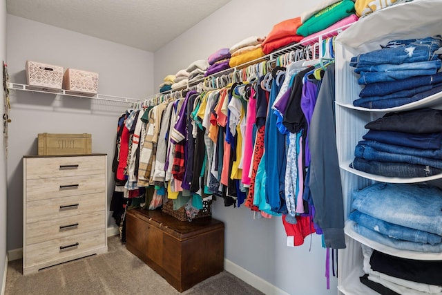 walk in closet with carpet flooring