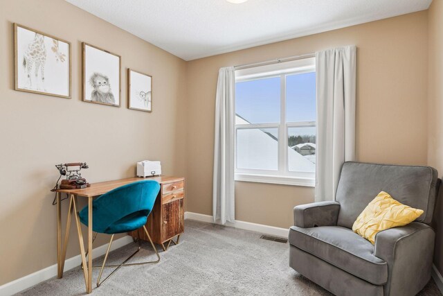 view of carpeted home office