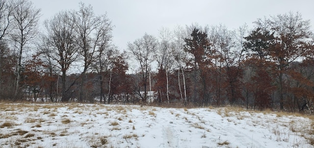 987 Moon Glow Rd, Hudson, WI 54016 - photo 10