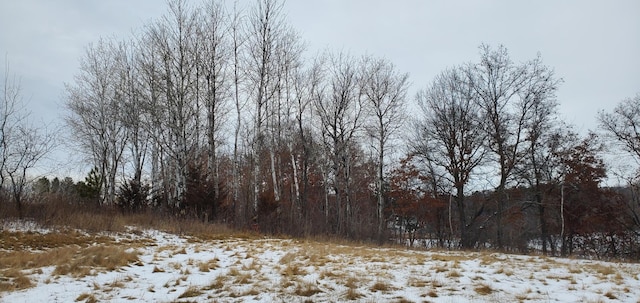 987 Moon Glow Rd, Hudson, WI 54016 - photo 11