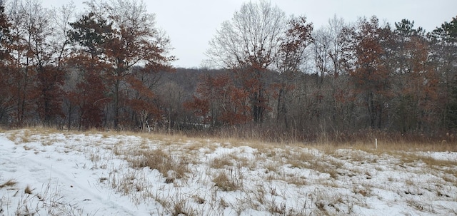 987 Moon Glow Rd, Hudson, WI 54016 - photo 12