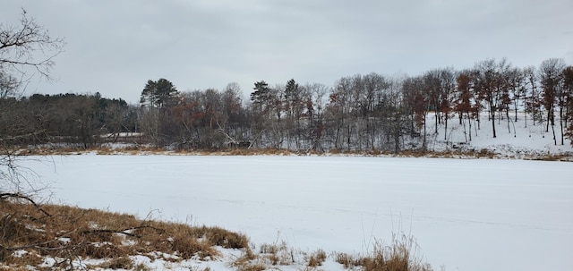987 Moon Glow Rd, Hudson, WI 54016 - photo 8