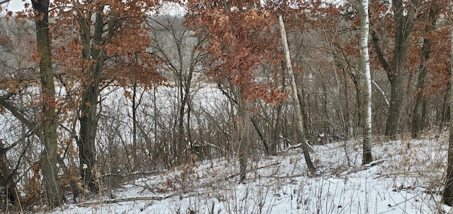987 Moon Glow Rd, Hudson, WI 54016 - photo 9
