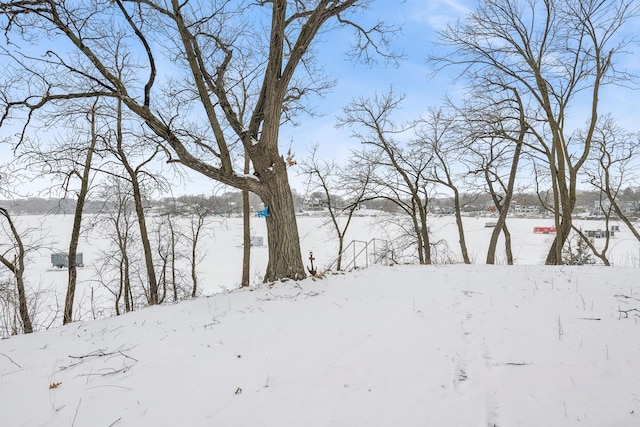 3313 Twin Island Cir NW, Prior Lake, MN 55372 - view of yard layered in snow