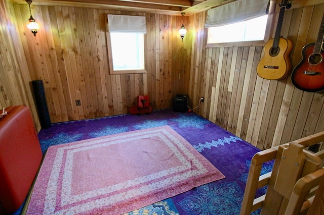 interior space with a healthy amount of sunlight and wood walls