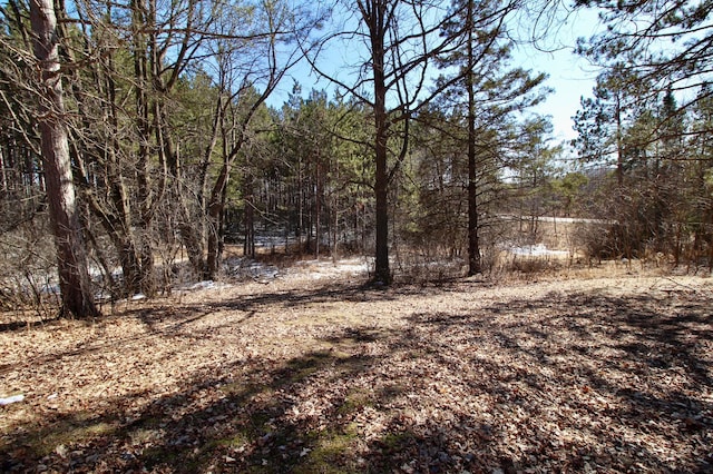 view of nature featuring a forest view