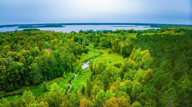 000 Blackduck Lake Rd NE, Hines, MN 56647