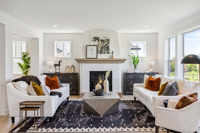 living room featuring dark wood-type flooring and a premium fireplace