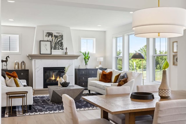 living area featuring wood-type flooring and a fireplace