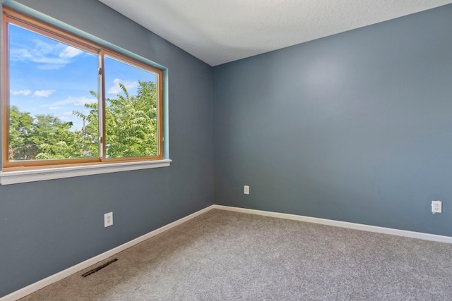 unfurnished room with carpet floors and a textured ceiling