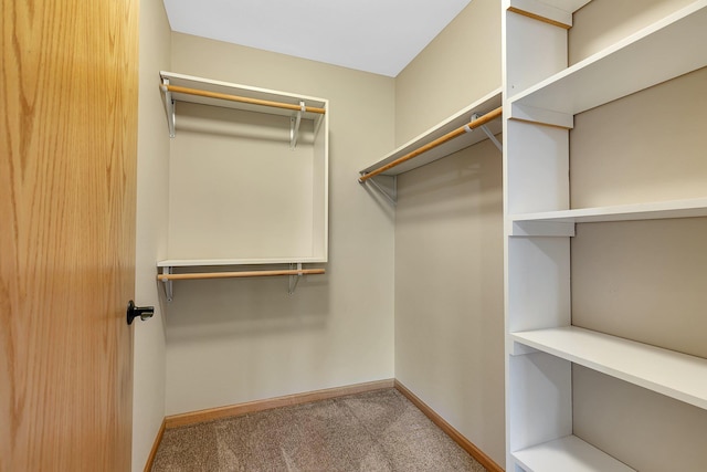 615 Cottonwood Ave, Litchfield, MN 55355 - walk in closet with carpet