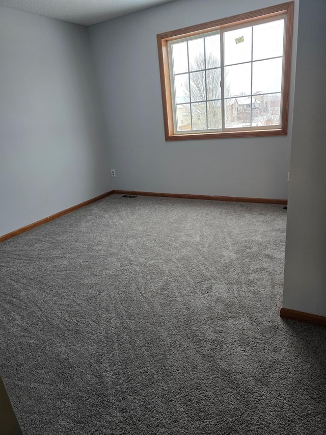 unfurnished room with carpet