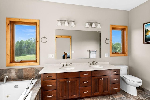 1036 Ziebarth Rd, Wrenshall, MN 55797 - full bathroom featuring double vanity, plenty of natural light, a jetted tub, and stone finish floors