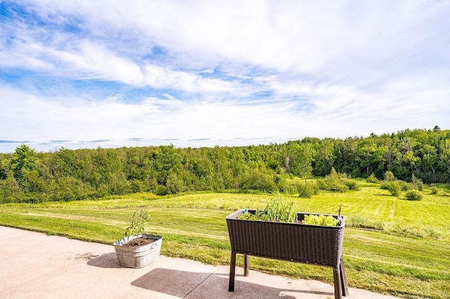 1036 Ziebarth Rd, Wrenshall, MN 55797 - view of patio / terrace with a wooded view