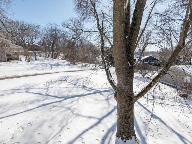 view of yard covered in snow