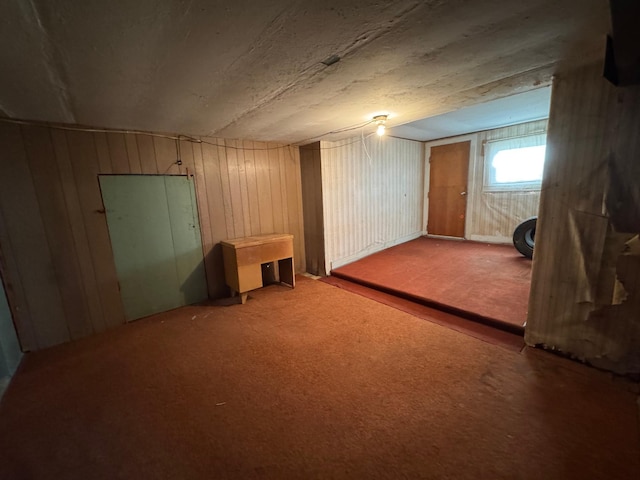 interior space with wood walls and carpet