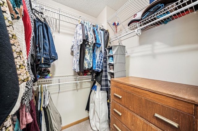 view of walk in closet