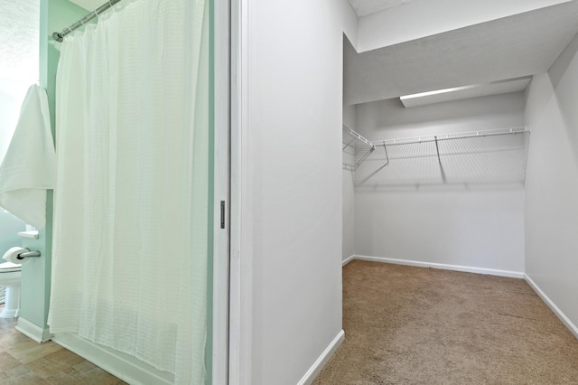 spacious closet featuring carpet flooring