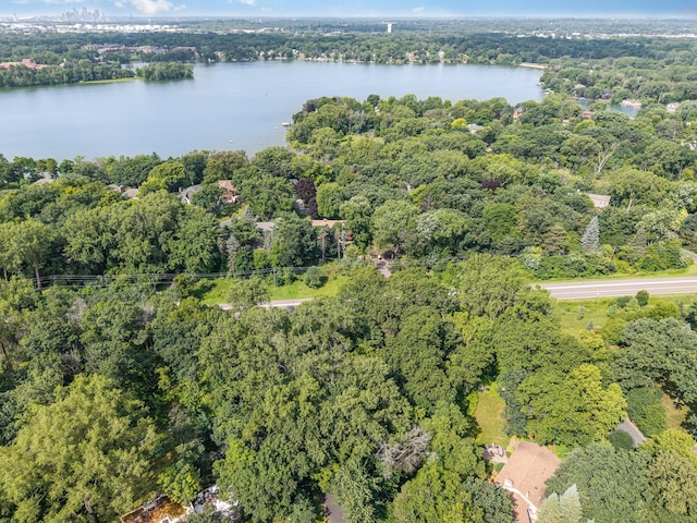 1429 Skiles Ln, Arden Hills, MN 55112 - photo 4
