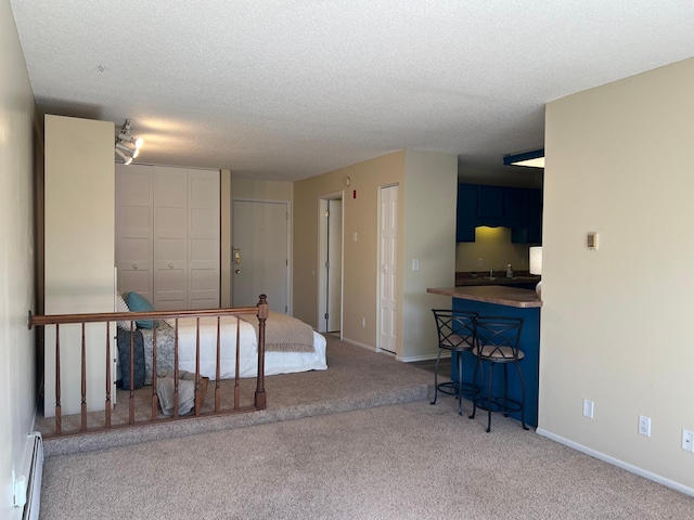 interior space with a baseboard radiator, a textured ceiling, baseboards, and carpet flooring