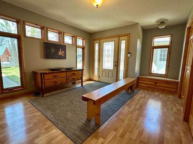 14788 Coyote Dr, Park Rapids, MN 56470 - entrance foyer featuring light wood-type flooring and a textured ceiling