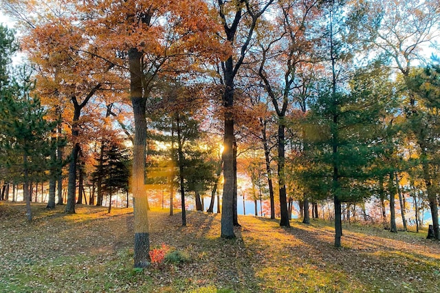 14788 Coyote Dr, Park Rapids, MN 56470 - view of yard