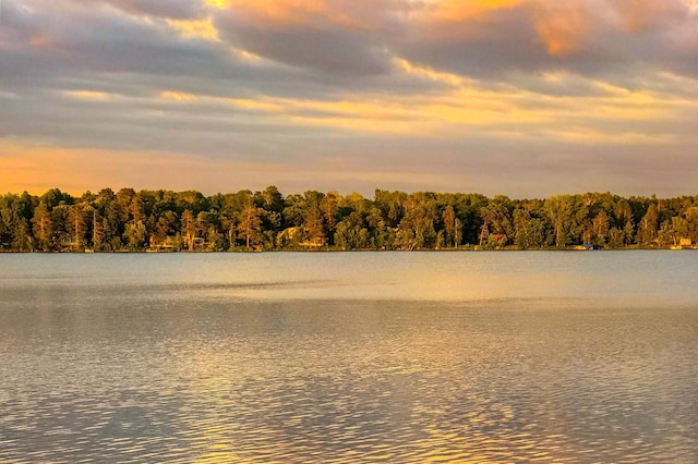 14788 Coyote Dr, Park Rapids, MN 56470 - water view with a forest