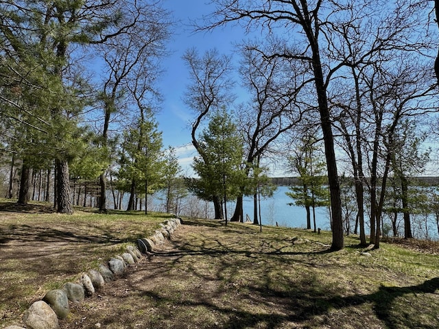 14788 Coyote Dr, Park Rapids, MN 56470 - water view