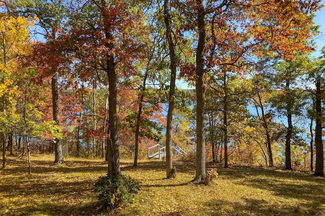 14788 Coyote Dr, Park Rapids, MN 56470 - view of yard