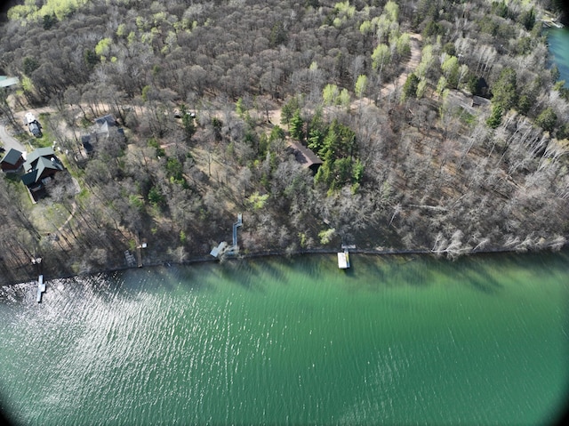 14788 Coyote Dr, Park Rapids, MN 56470 - view of property location with a large body of water