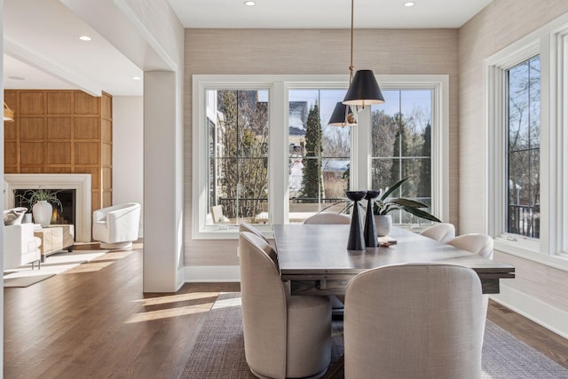 dining room featuring dark wood-type flooring