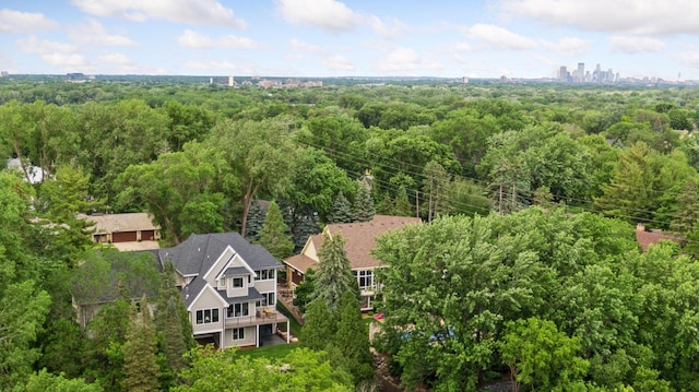 bird's eye view