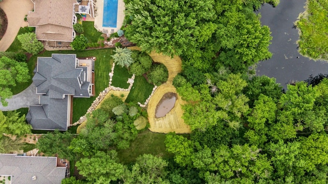 bird's eye view