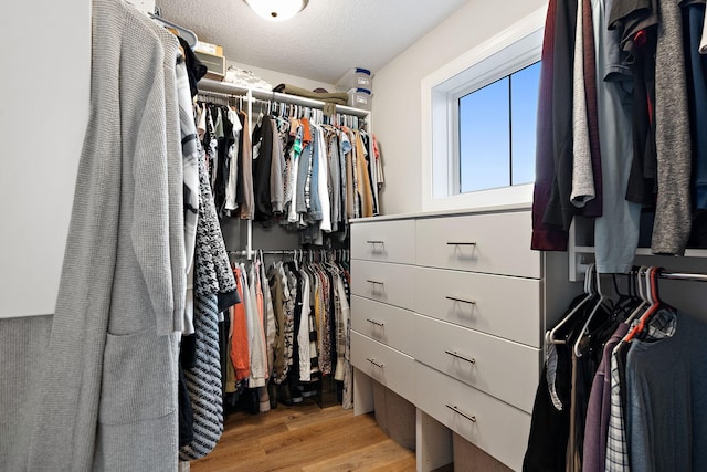 spacious closet featuring light hardwood / wood-style floors