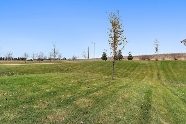 view of yard with a rural view